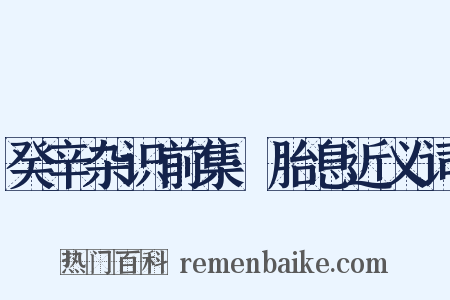 癸辛杂识前集·胎息近义词是什么意思的图片